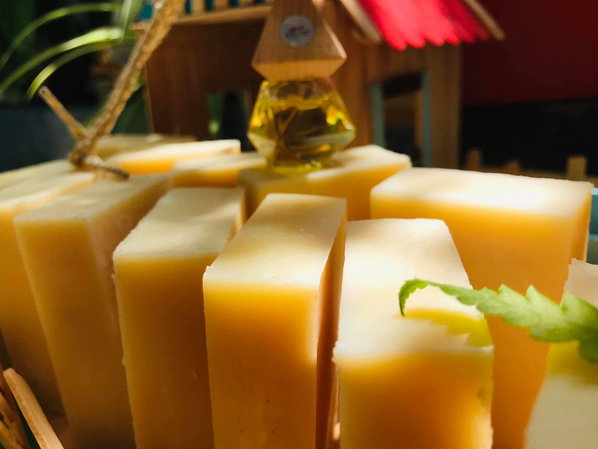 querungxanh.vn/blog/tac-dung-cua-que-loai-duoc-lieu-quy-trong-dan-gian.html cong-dung-xa-phong-huong-que-10