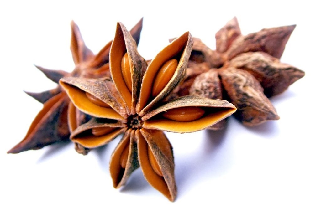 mua-hoa-hoi mua-hoa-hoi