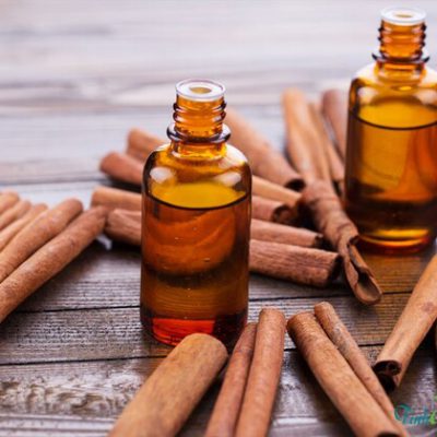 tinh-dau-que-nguyen-chat-querungxanh-01