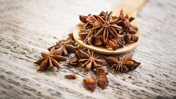 mua-hoa-hoi mua-hoa-hoi