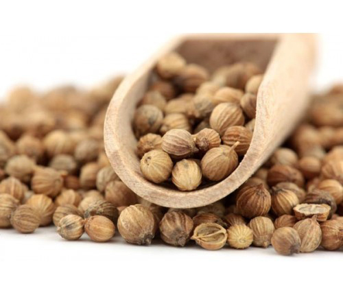 ĐẶC TÍNH VÀ CÔNG DỤNG CỦA HẠT NGÒ ĐẶC TÍNH VÀ CÔNG DỤNG CỦA HẠT NGÒ