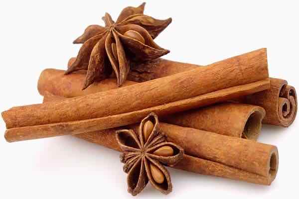 Quế thanh – Vị thuốc quý và những công dụng mang lại