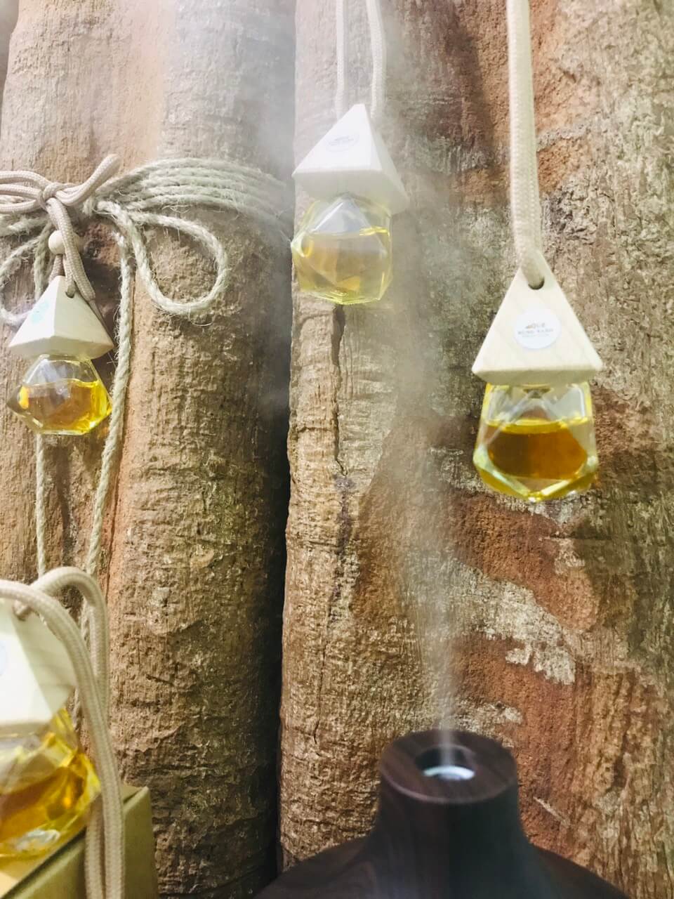 Tinh dầu quế diệt khuẩn vượt trội Quế Rừng Xanh Tinh dầu quế diệt khuẩn vượt trội Quế Rừng Xanh